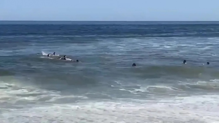 惊险万分！太阳报：德米凯利斯一家游泳时被海浪冲走，最终被救起